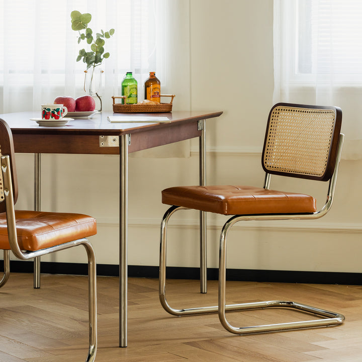 Vintage rattan pu leather dining chair hoh xil environmental situation.