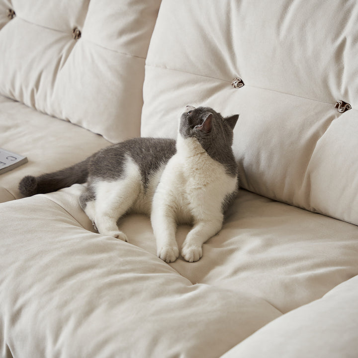 Scandinavian premium cat scratch resistant fabric sofa cover size charts.
