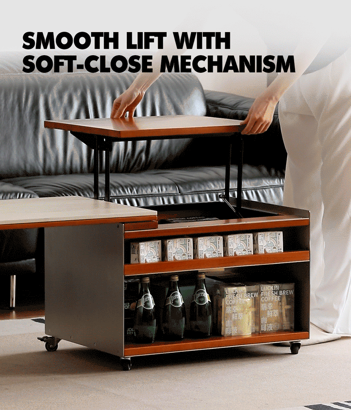 Vintage Boxwood Sintered Stone Lift-Up Coffee Table SILVER WING