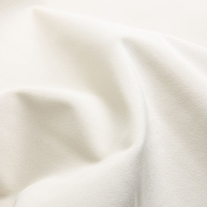 Scandinavian premium velvet fabric sofa cover with context.