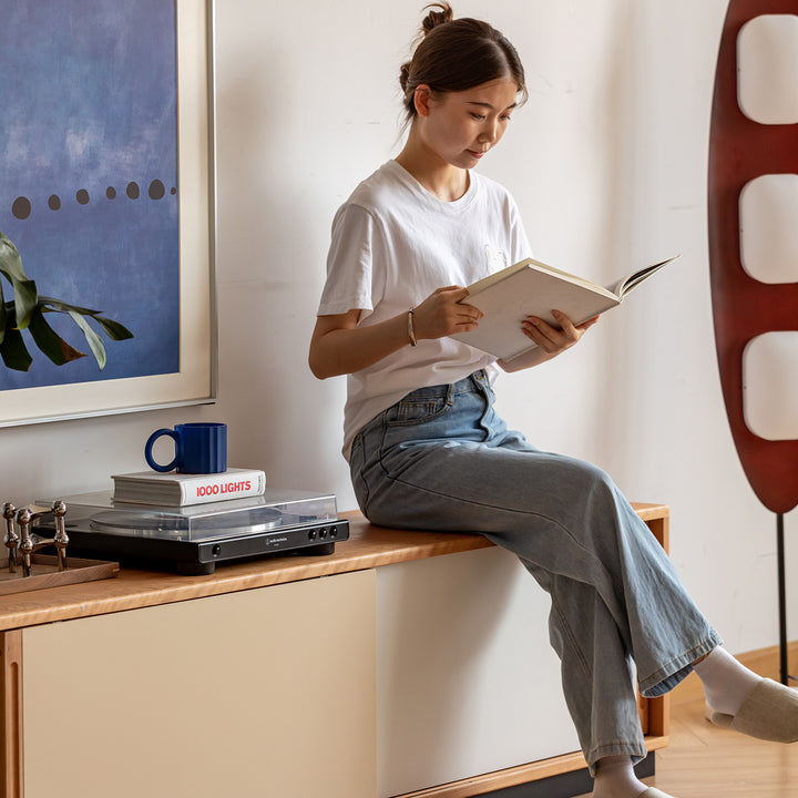 Scandinavian cherry wood sliding door tv console timeless conceptual design.