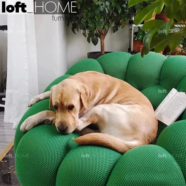 Contemporary fabric 1 seater sofa bubble environmental situation.