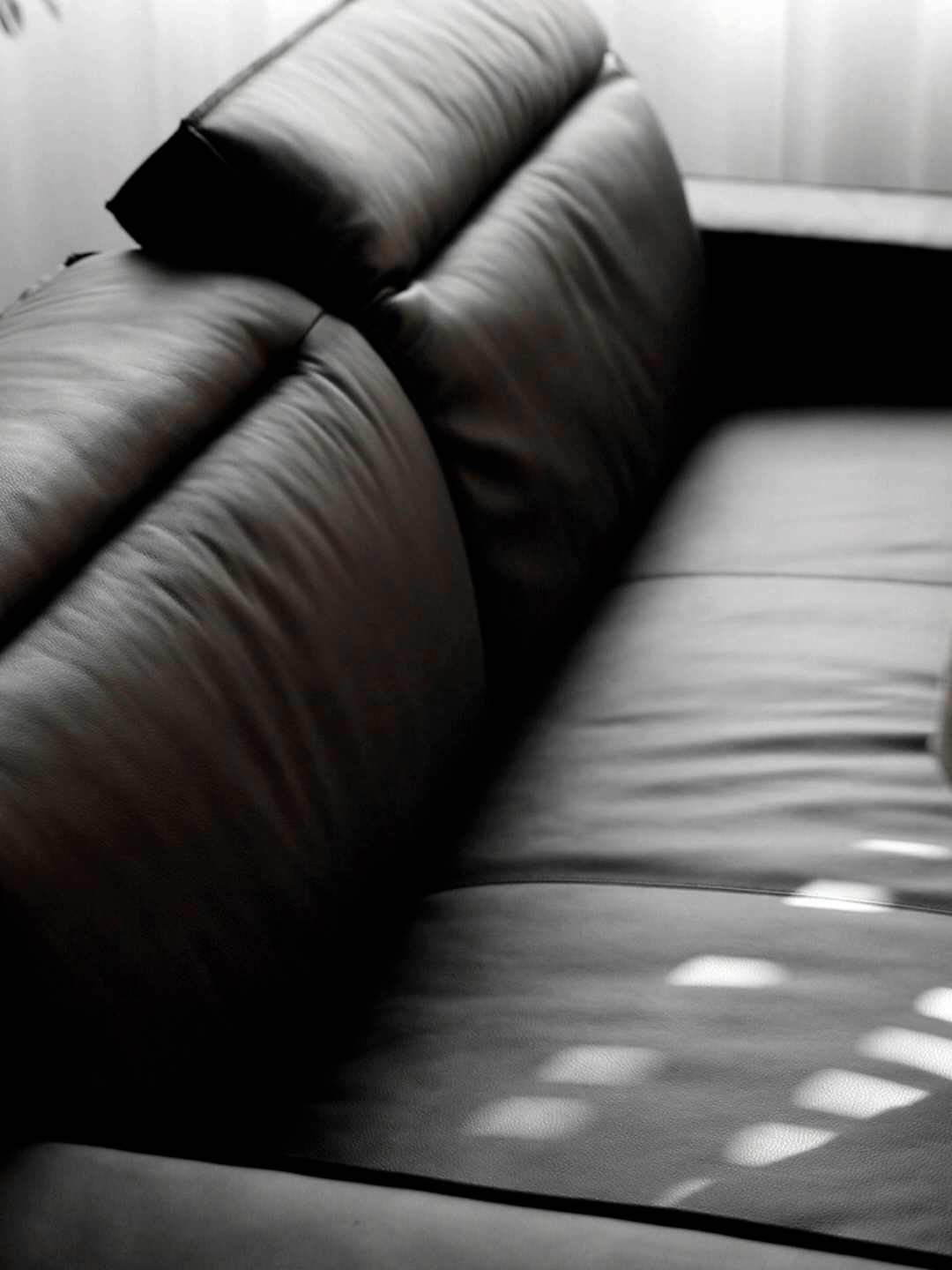 Japandi Genuine Leather 2 Seater Sofa RIVER