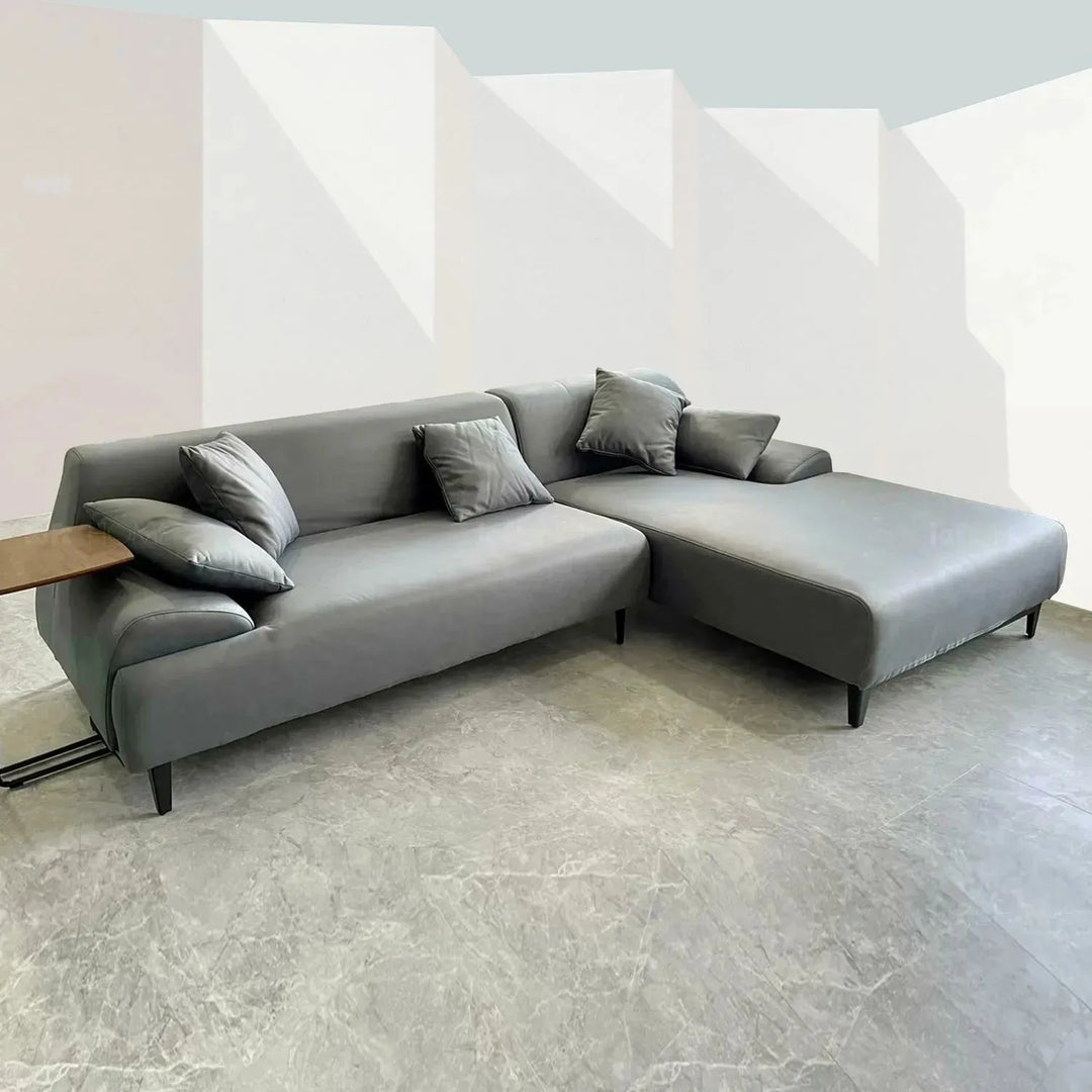 Modern fabric l shape sectional sofa cave 2+l in panoramic view.