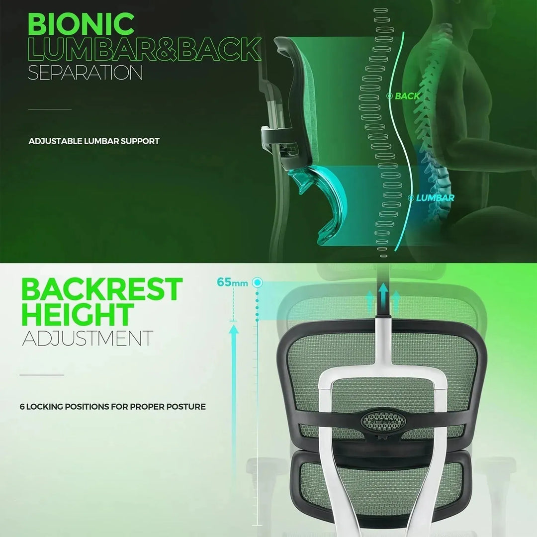 Modern mesh ergonomic office chair black frame with legrest ergohuman e2 in details.