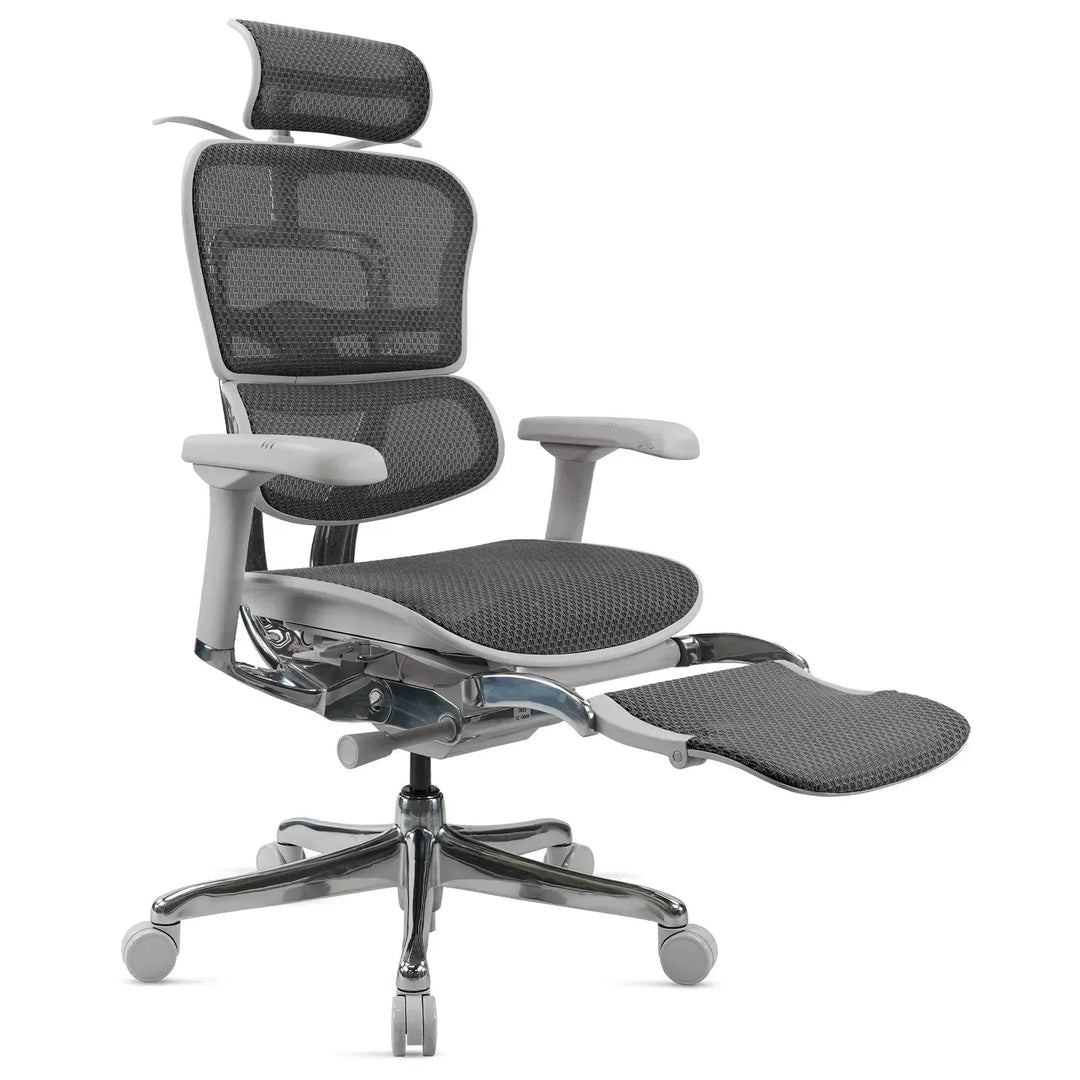 Modern mesh  ergonomic office chair grey frame with legrest ergohuman e2 environmental situation.