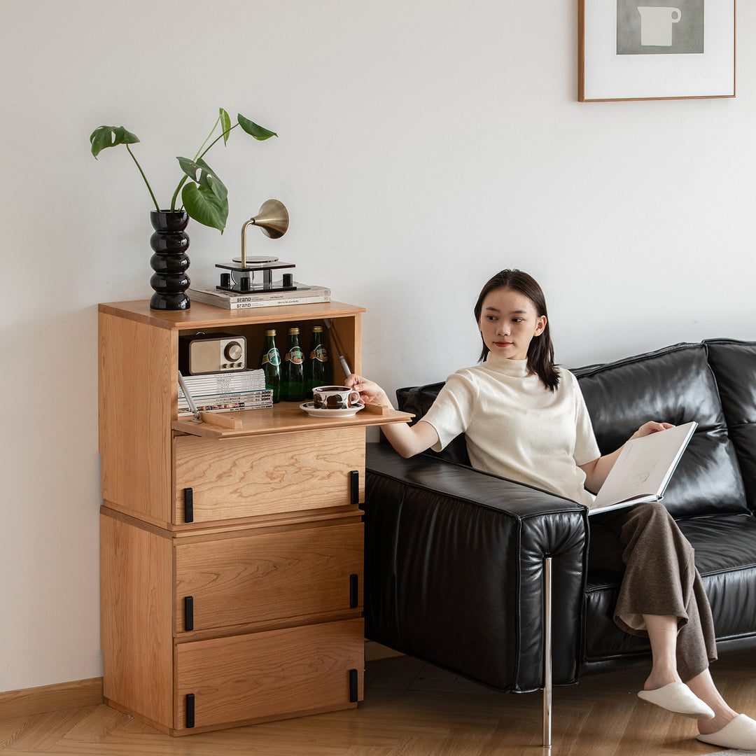 Scandinavian cherry wood cabinet dottie material variants.