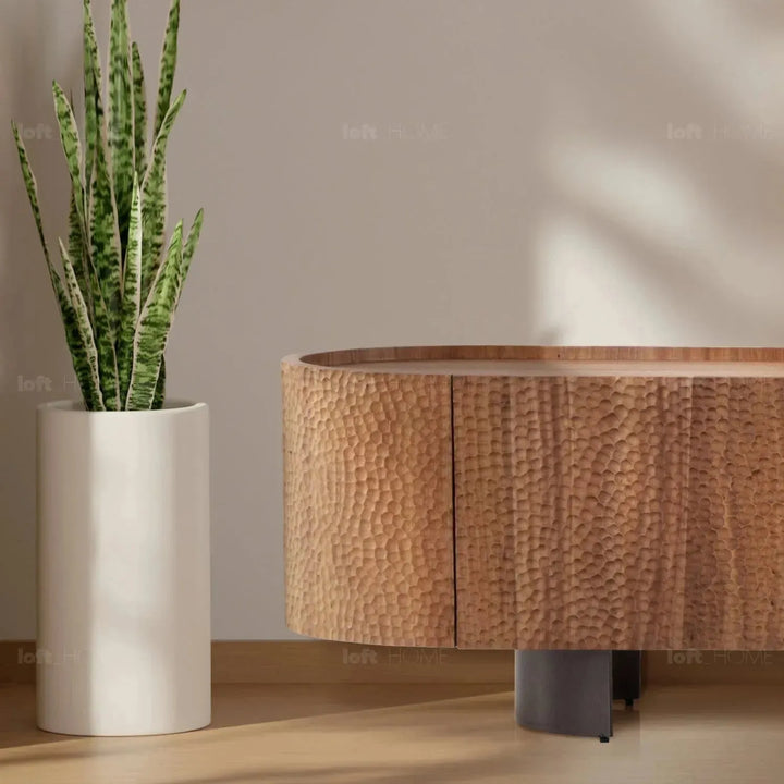 Scandinavian elm wood tv console savvy in still life.