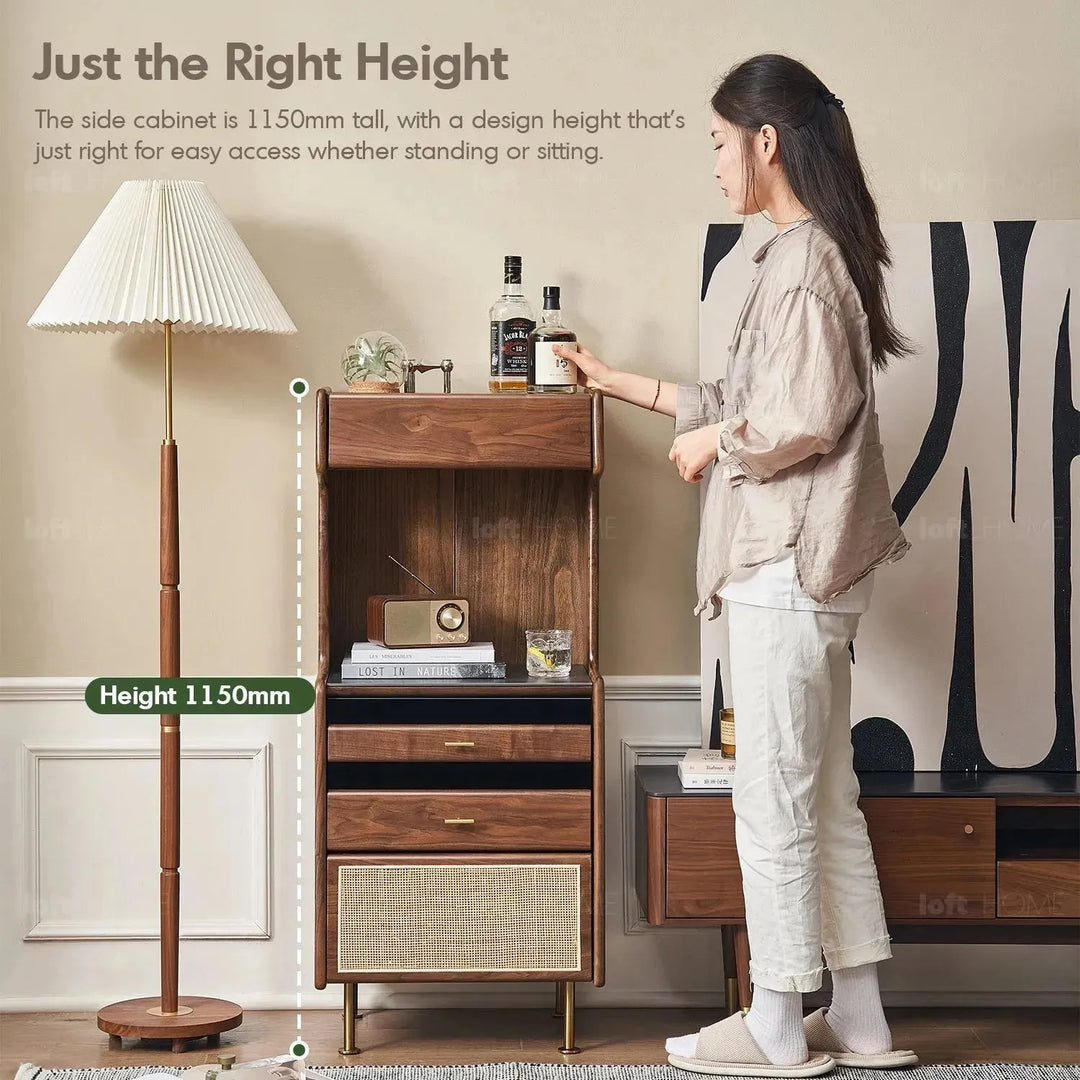 Japandi wood cabinet goya in still life.