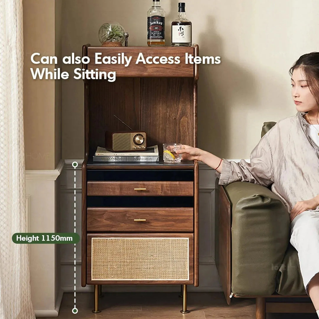 Japandi wood cabinet goya environmental situation.