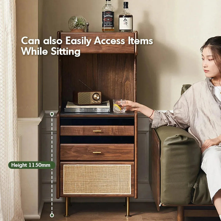 Japandi wood cabinet goya environmental situation.