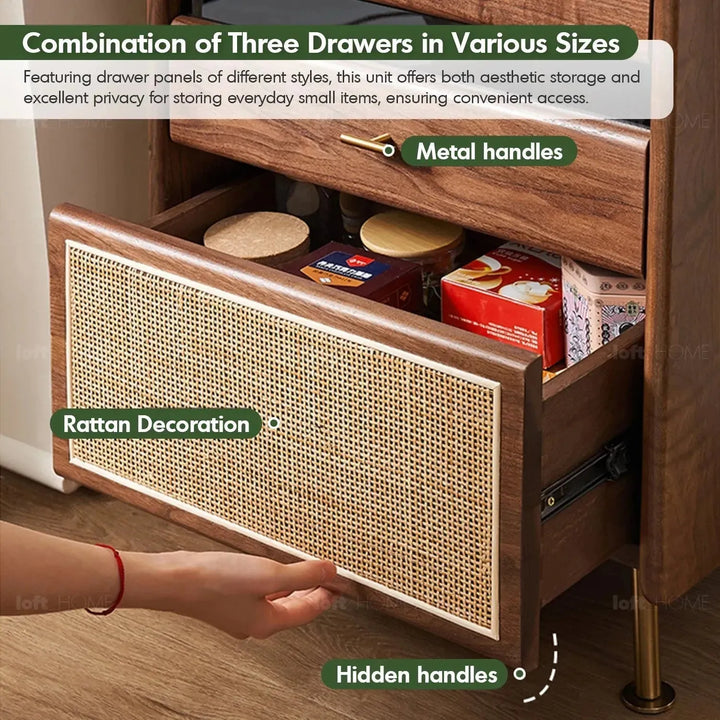 Japandi wood cabinet goya in close up details.