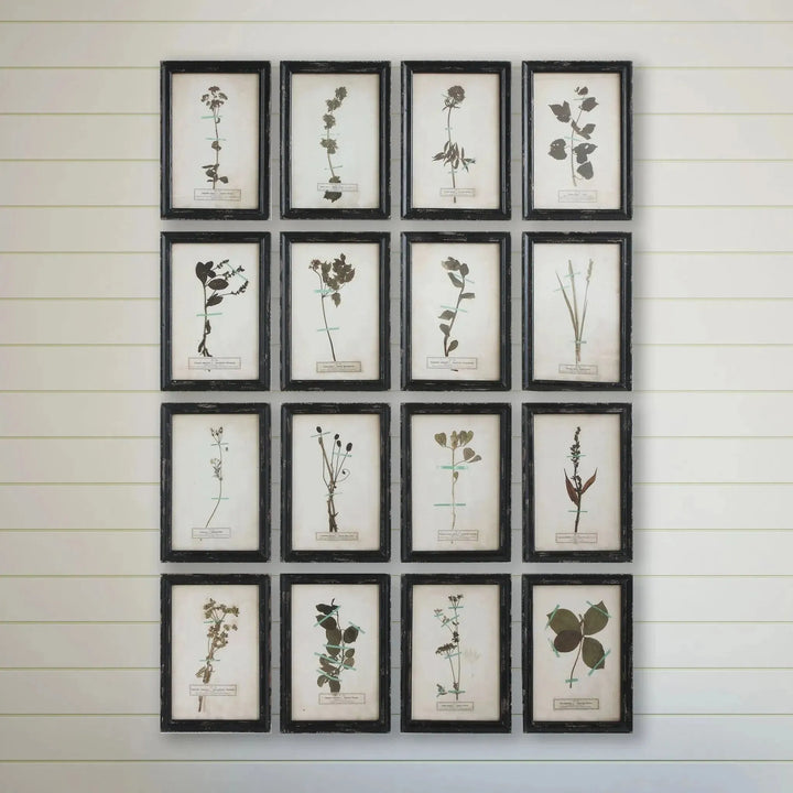 Wood framed wall plaques with dried flower images (set of 16 designs) decor color swatches.